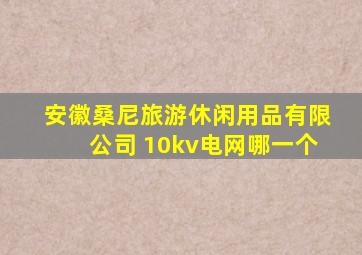 安徽桑尼旅游休闲用品有限公司 10kv电网哪一个